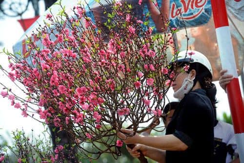 越南房地產投資與出租 | 帶您看越南河內市人怎麼準備過春節年