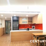 越南房地產投資與出租 | house for rent and management-2
