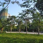 越南房地產投資與出租 | PVI-NEAR-SKYPARK