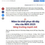 越南房地產投資與出租 | 越南房地產 (210)