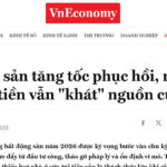 越南房地產投資與出租 | hanoi house supply